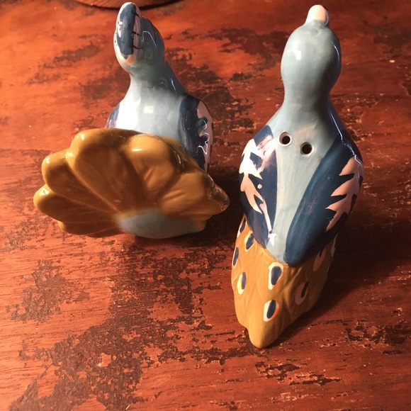 🐞Peacock s&p shaker - Picture 3 of 5